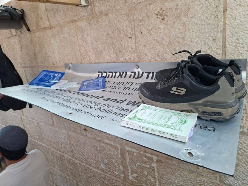 صورة الخبر