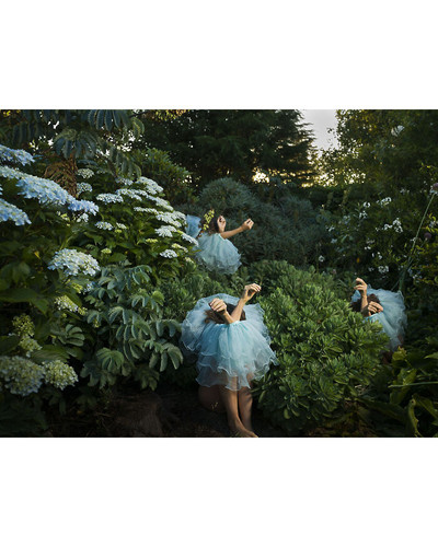 High Jinks in the Hydrangeas 2021 Introversion 6a5f613ad60a3 700 bordered.jpg