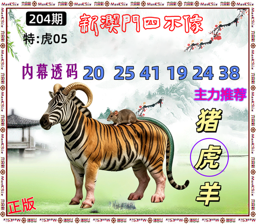204.png