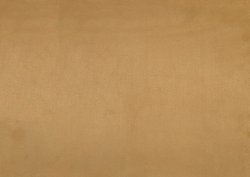 1203YW swatch.jpg