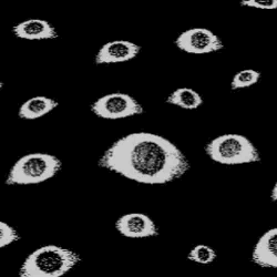 tumblr 95c6ae9eea57a78bc6066fff5ee0afba 8999fb54 250.gif