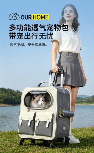 猫宝 (3).jpg