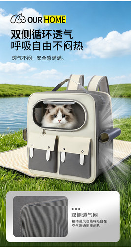 猫宝 (5).jpg
