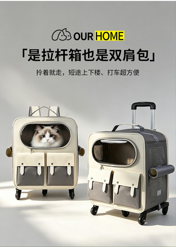猫宝 (6).jpg