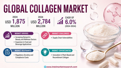 httpswww.24lifesciences.com 2026 07 23T113006.356.jpg