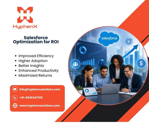 Salesforce Optimization for ROI.jpg