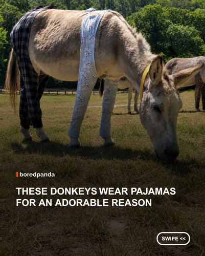 swipe to read.jpg
