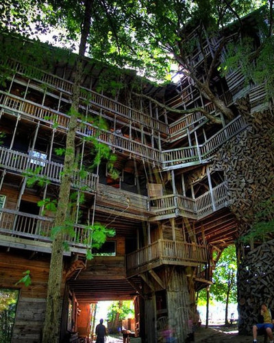 amazing treehouses 3.jpg