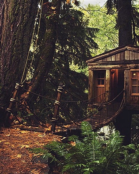 amazing treehouses 5.jpg