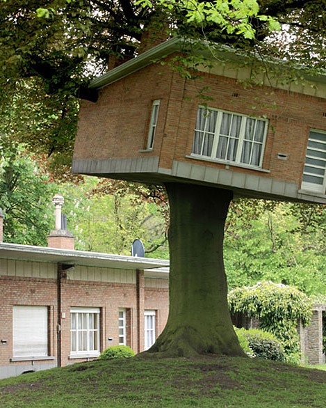 amazing treehouses 9.jpg