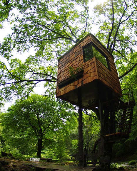 amazing treehouses 6.jpg