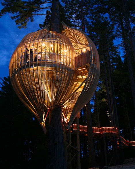 amazing treehouses 15.jpg