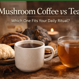 mushroom coffee for focus.png