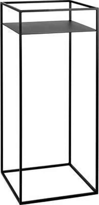 7217072.jpg