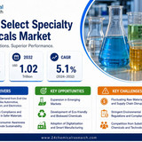 Select Specialty Chemicals Market