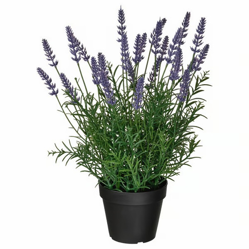 fejka artificial potted plant in outdoor lavender lilac 1485462 pe1001977 s5.jpg