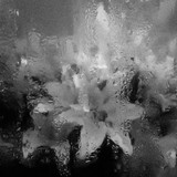 IMG 9177