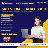 Salesforce Data Cloud Training Ameerpet | Online Course