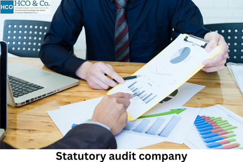 A Statutory Audit Company for Accurate Financial Statements.png