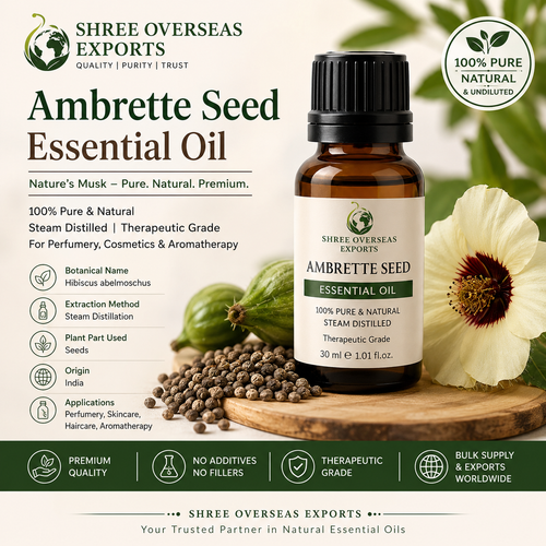 Organic Ambrette Seed Essential Oil Premium Quality for Cosmetics, Bulk Supply, and Global B2B Buyer.png