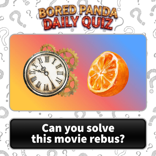 image (51).png