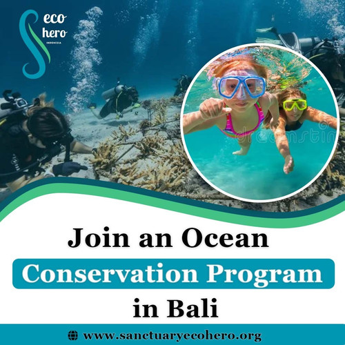 Join an Ocean Conservation Program in Bali.jpg