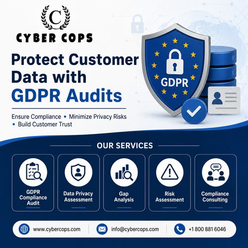 Cyber Cops GDPR Compliance Audits Protect Customer Data Securely.png