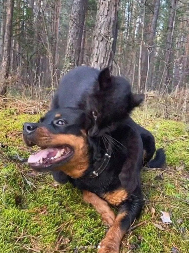 thehilarious.ted 1784306394 3943370041644348185 342722193.jpg