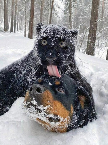 thehilarious.ted 1784306394 3943370046803299033 342722193.jpg