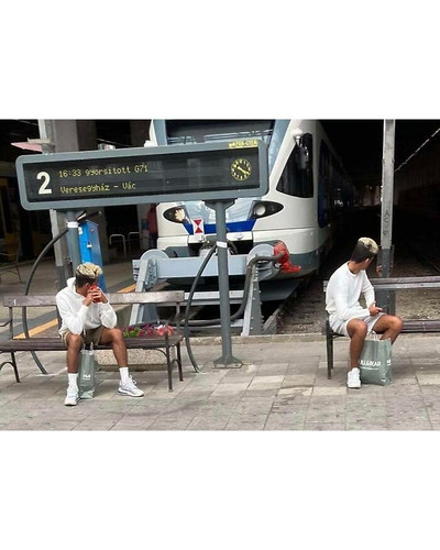 6593cf885488d doppelgangers glitch in the matrix bordered.jpg