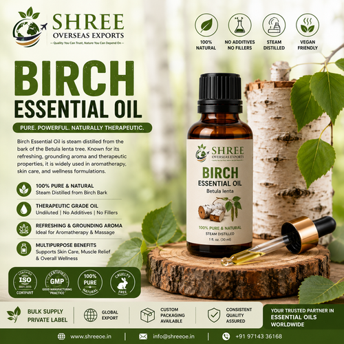 Indian Birch Essential Oil Manufacturer Premium Quality Birch Essential Oil for Cosmetics, Aromather.png