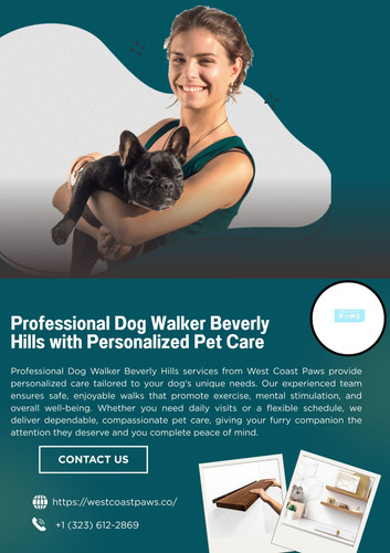 Professional Dog Walker Beverly Hills with Personalized Pet Care.jpg