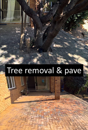 tree removal & pave.jpg