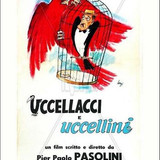 09 uccellacci e uccellini