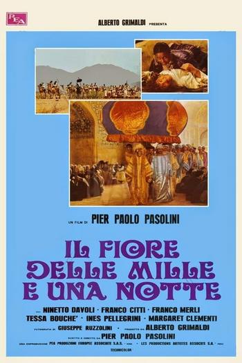 26 il fiore delle mille e una notte.jpg