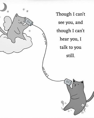 Wholesome Cats Gentle Humor And Cozy Chaos In The Art Of Woodland Ghost 6970daa5e1fbc 700.jpg