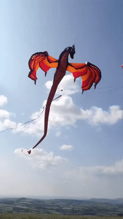 COrjL1p.gif