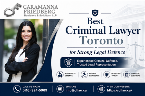 best criminal lawyer toronto .png