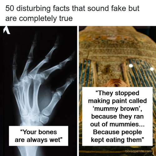 scary facts.jpg