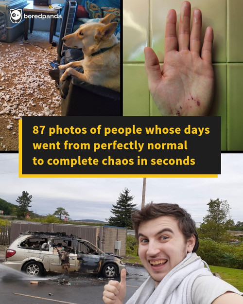 bad unfortunate day that sucks.jpg