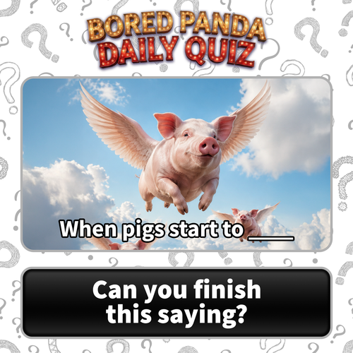 image (54).png