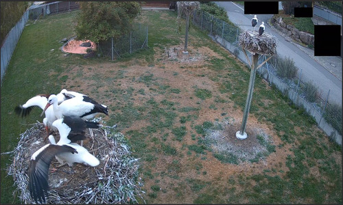 MWSnap902.jpg