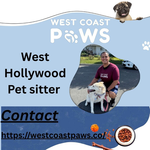 West Hollywood Pet sitter.jpg