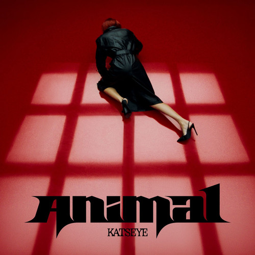 Animal.jpg