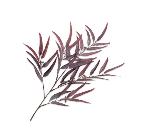 153035.png