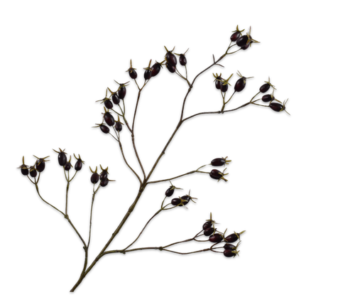 162808.png