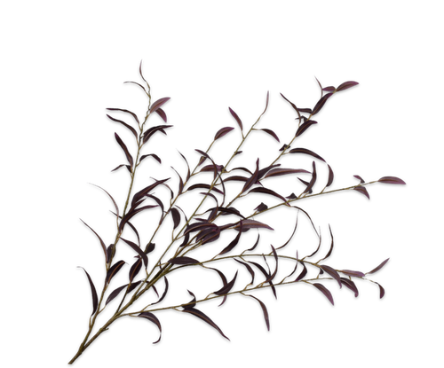 162256.png