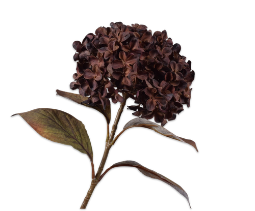 163267.png
