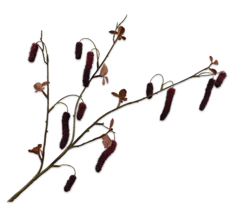 162819.png