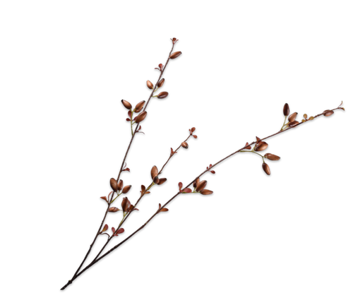 162416.png